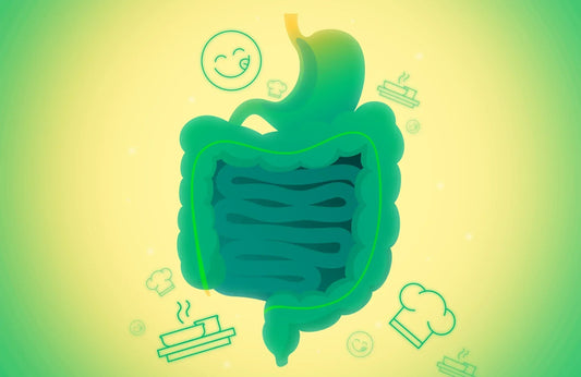 Microbiota y Alimentación: Una Relación Vital para tu Salud